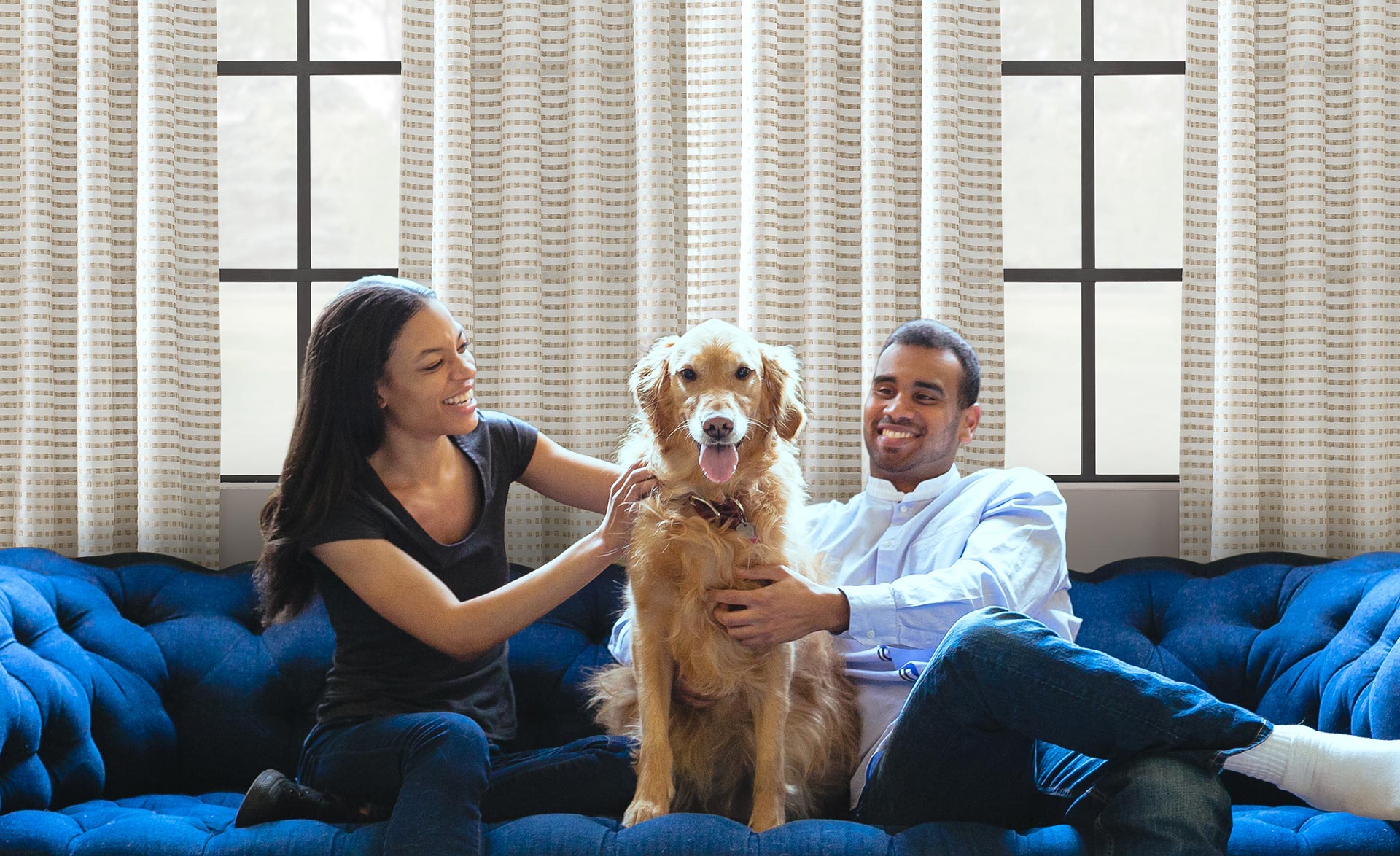 clean window curtains with dog and family